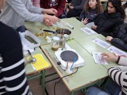 whatsapp image 2026-01-09 at 12.33.48